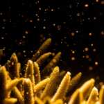 riproduzione di massa grande barriera corallina