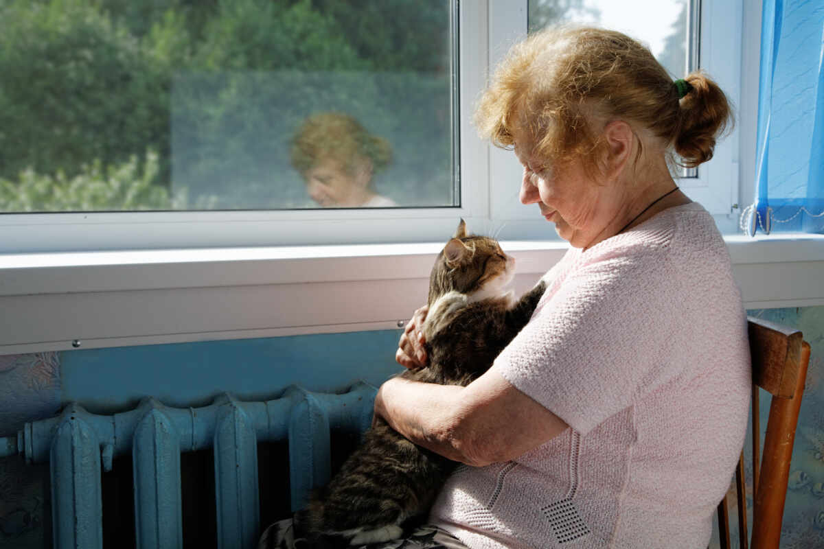 In Canada, the first service was born to give a new home to elderly and sick orphaned cats