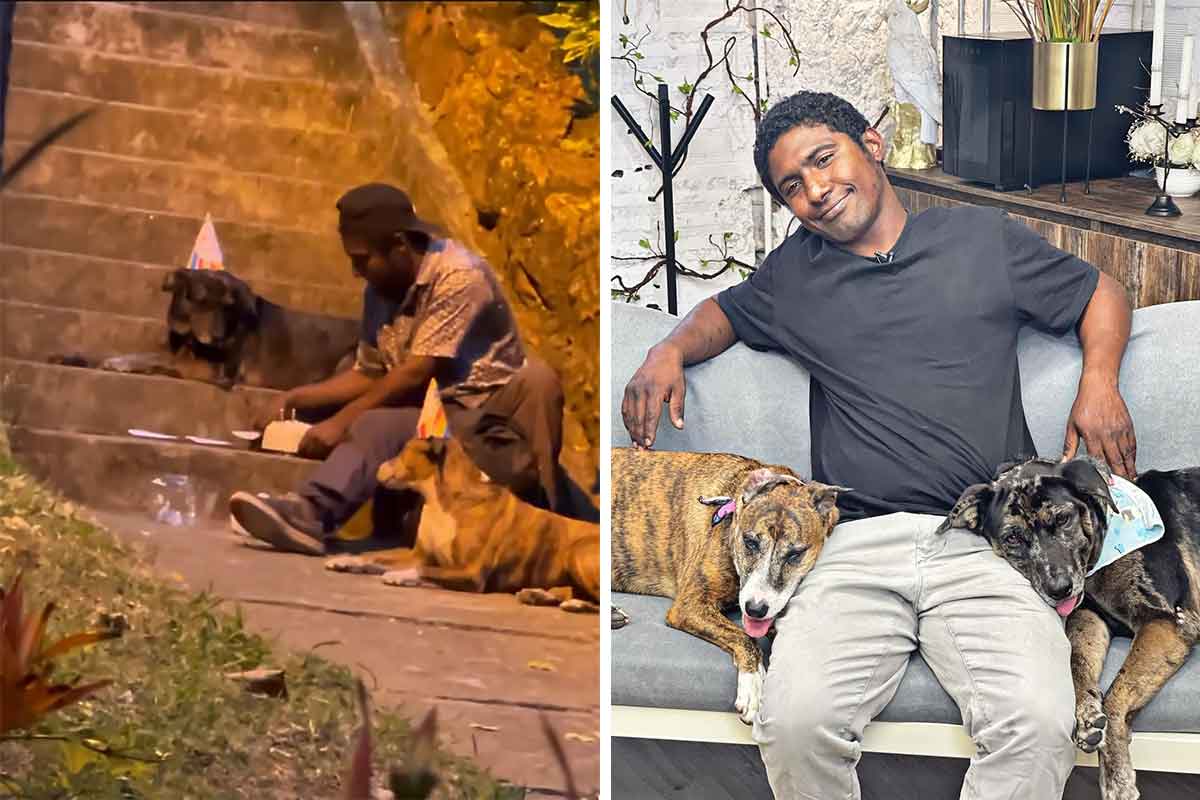 senzatetto festeggia con cani