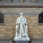 Statua di Charles Darwin