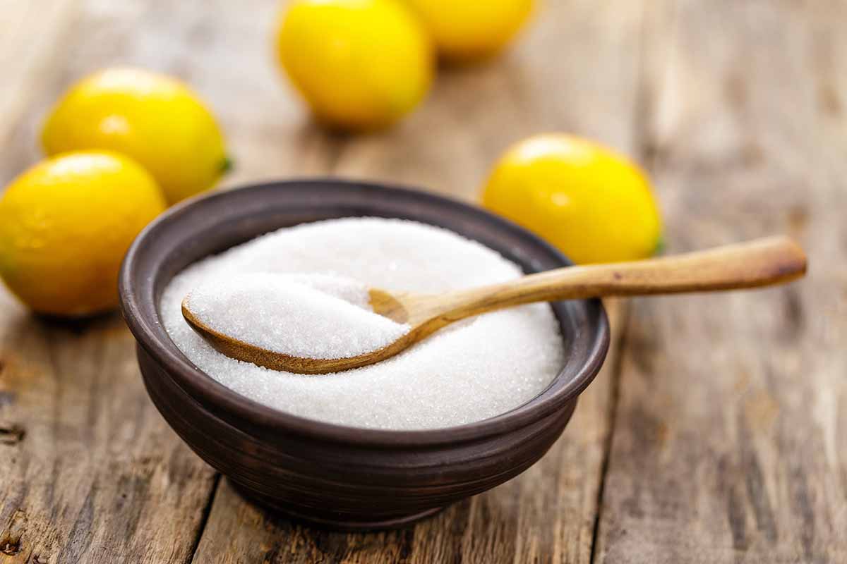 acido citrico pulizie additivo alimentare