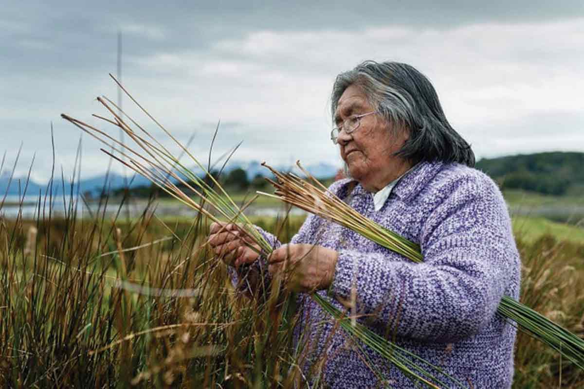Muere en Chile “Abuela Cristina” Calderón, última guardiana de la lengua indígena Yagán