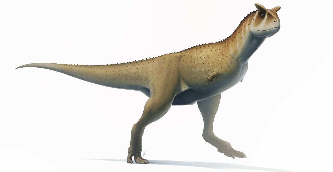 Guemesia ochoai dinosauro