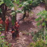 indigeni amazzonia