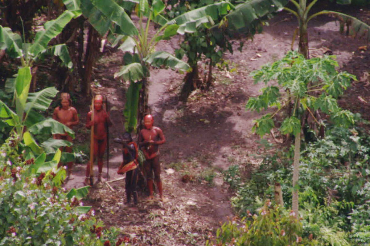 indigeni amazzonia