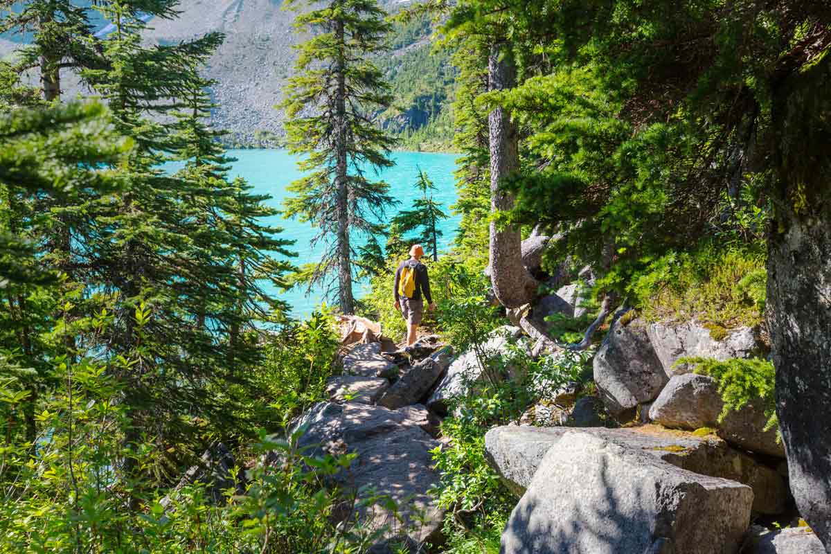 Behaves like natural medicine: Doctors in Canada may prescribe parks as treatment