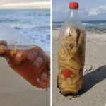 bottiglie salamoia spiagge