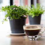 innaffiare piante caffe