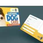 catania dog card