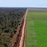 deforestazione brasile colture