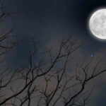 luna piena del lombrico 18 marzo 2022