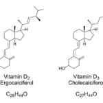 Vitamina D2 e D3 differenze