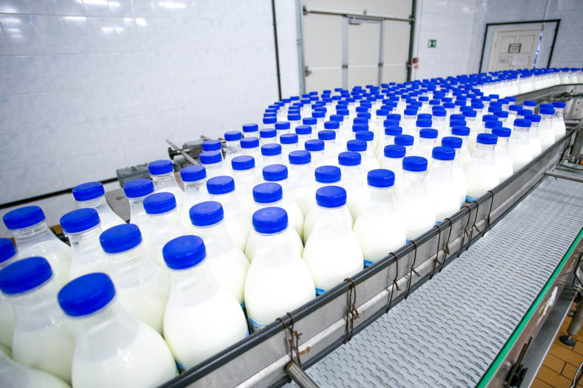 produzione latte