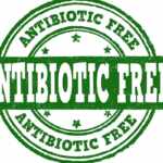 antibiotic free