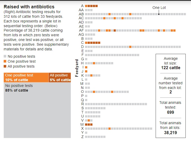 senza antibiotici studio infografica