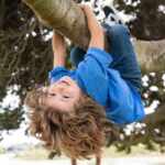 bambino arrampicare albero