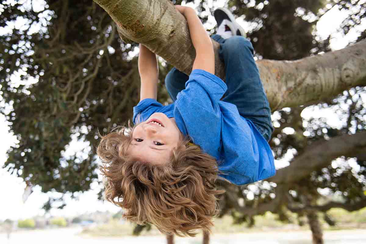 bambino arrampicare albero