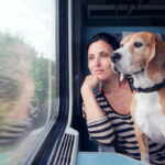 cane sul treno