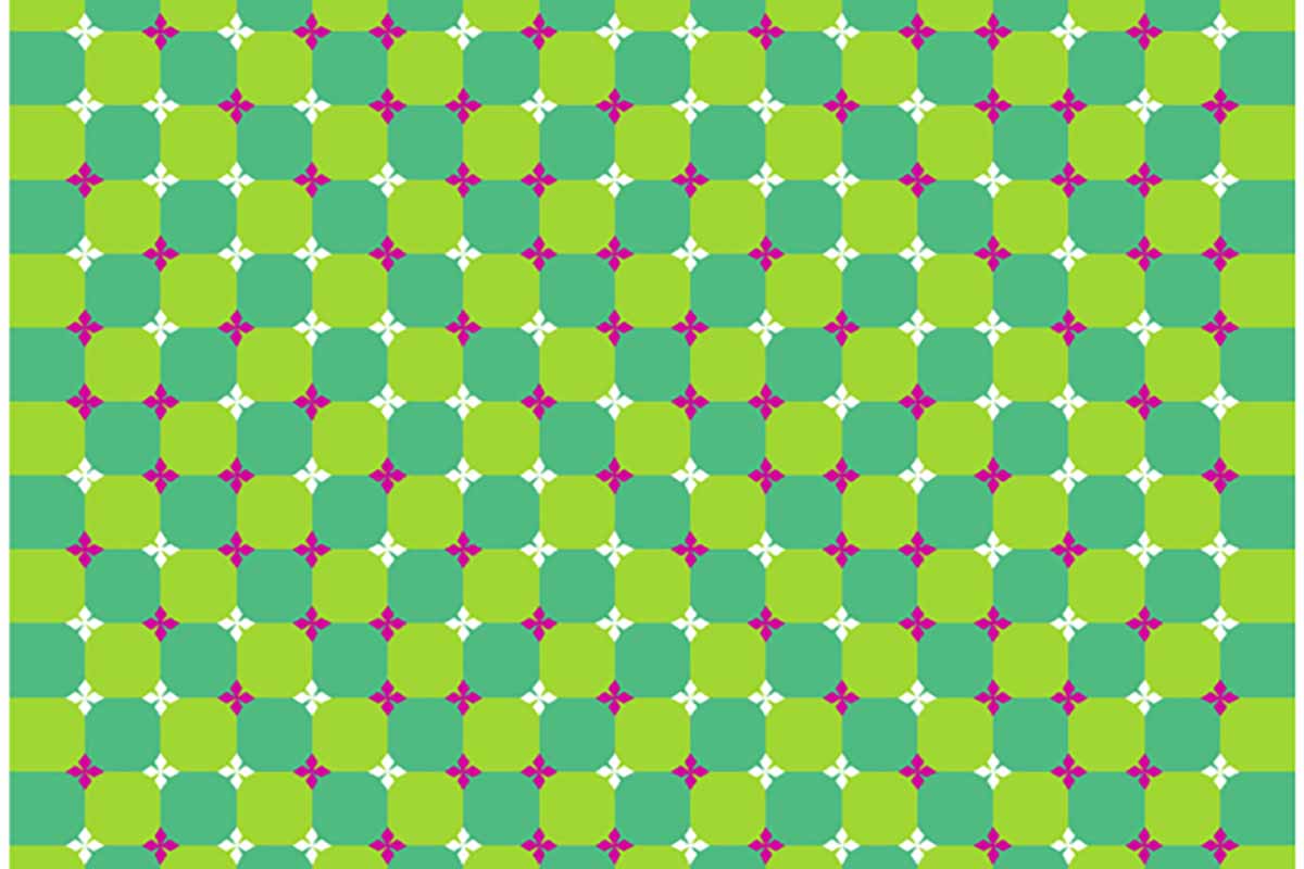 illusione ottica Primrose's field