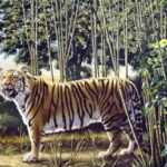 illusione ottica tigre