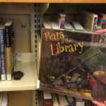 pipistrello biblioteca