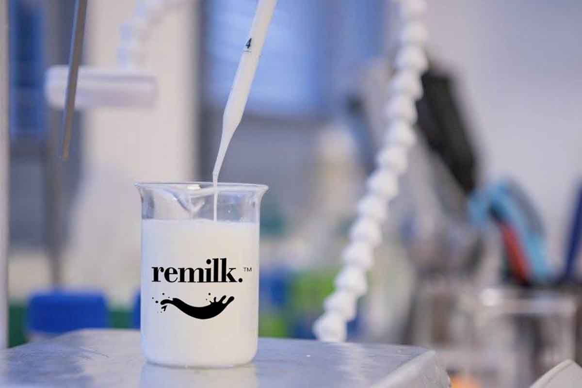 remilk latte sintetico