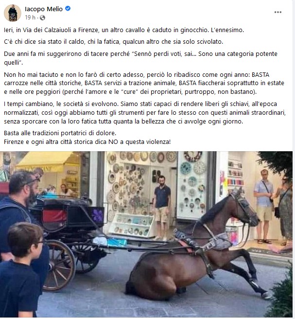 Cavallo Firenze