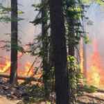 Yosemite National Park incendi
