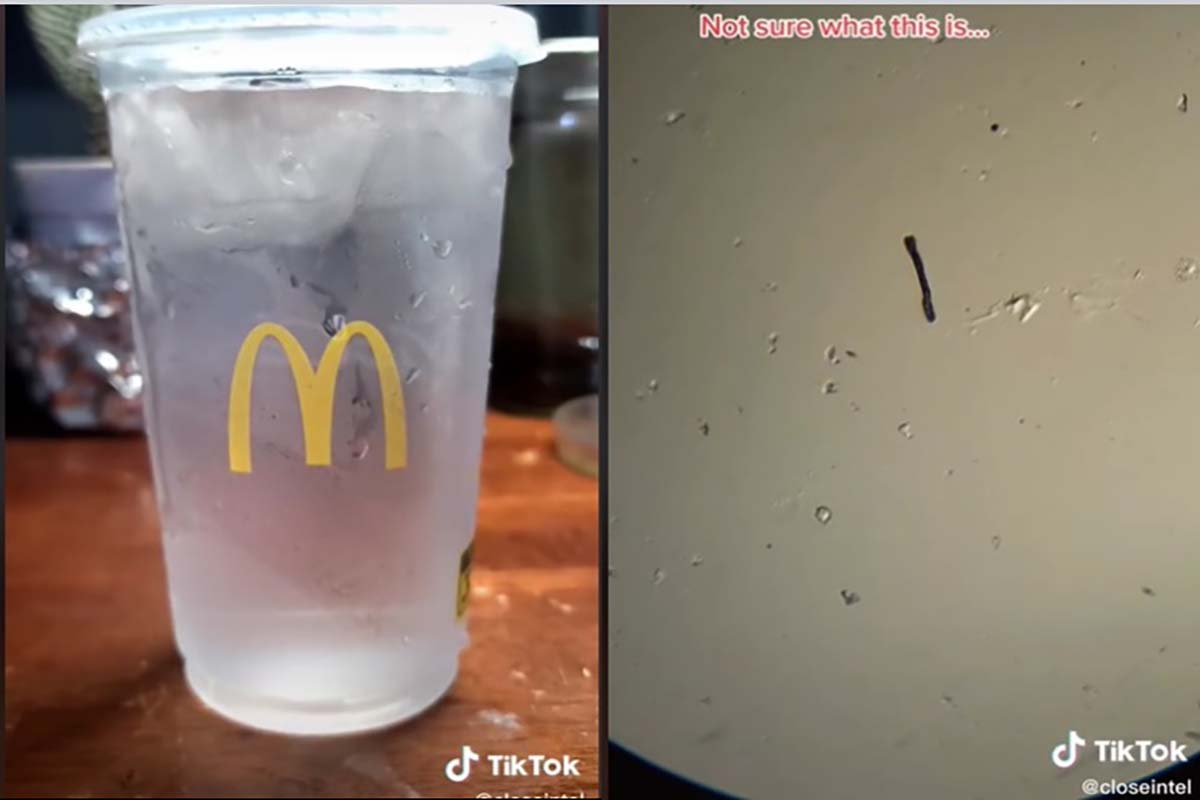 acqua microscopio detriti microfibre mcdonalds