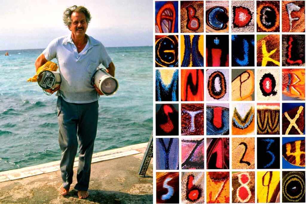 Kjell Sandved e il suo alfabeto delle farfalle