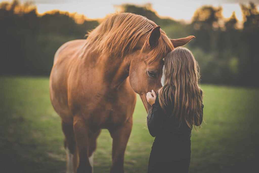 parlare animali cavalli