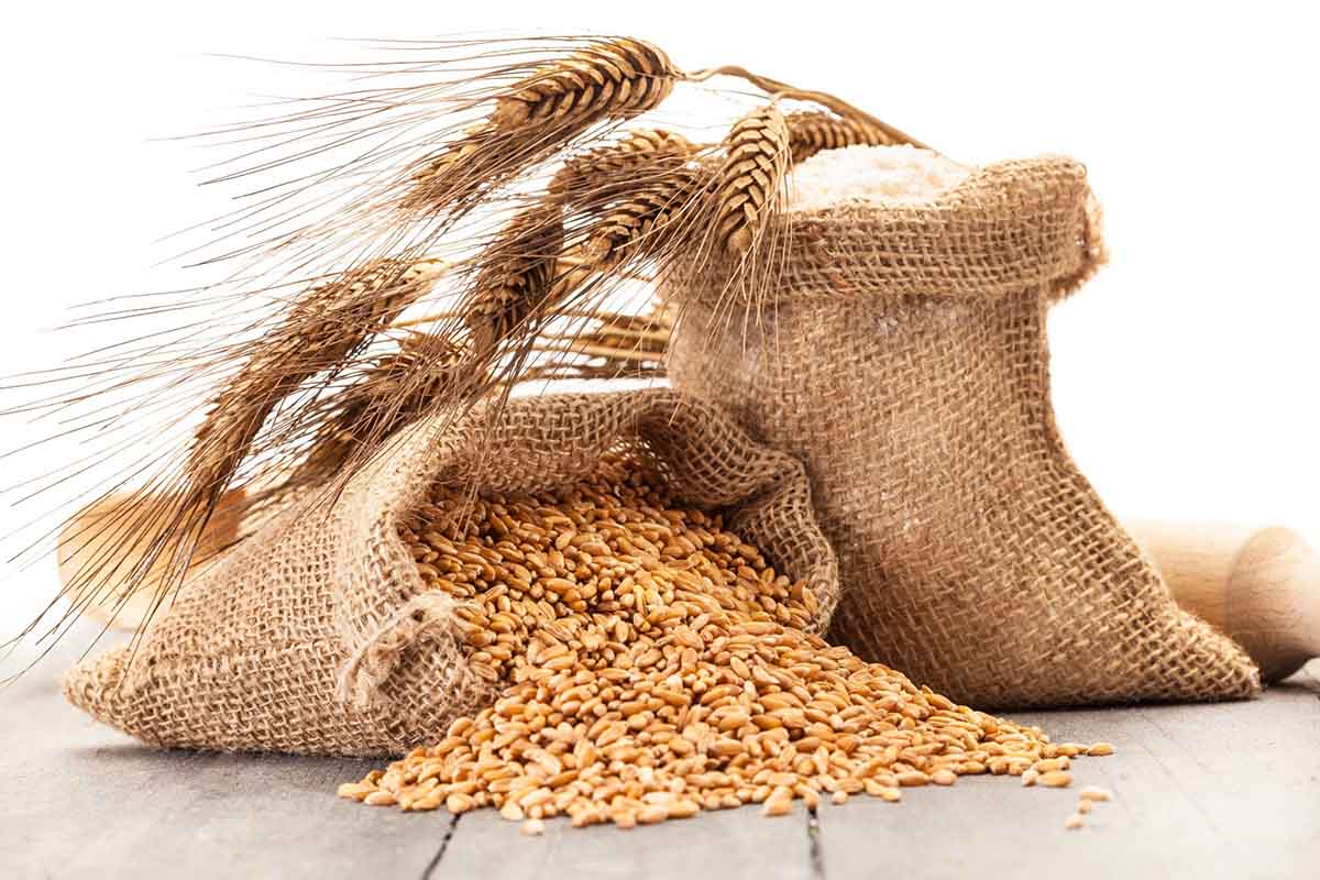cereali grano sacco farina