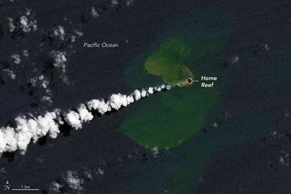 nasa home reef isola