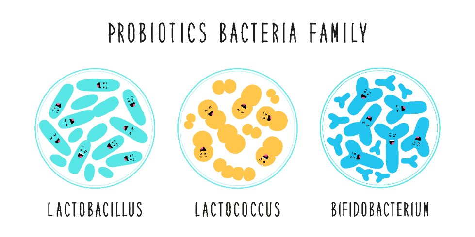 famiglie probiotici