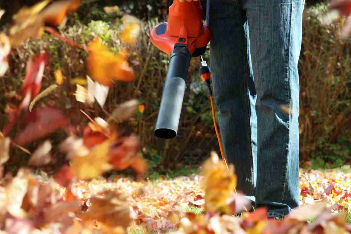 Soffiatori per foglie: 5 motivi per smettere subito di utilizzarli,  soprattutto in autunno - greenMe