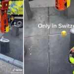 spazzatura svizzera