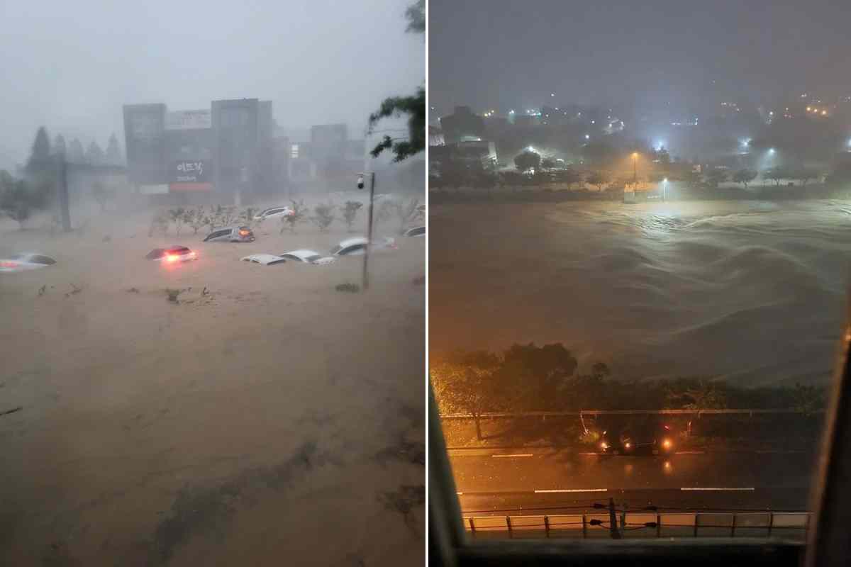 tifone corea