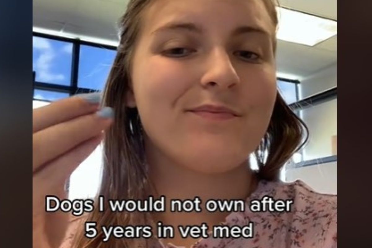 veterinaria cani