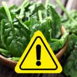 spinaci pericolo mandragora