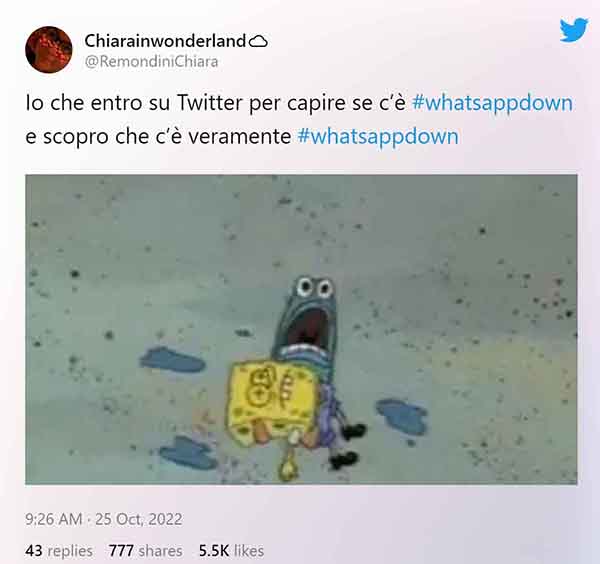 tweet whatsapp down