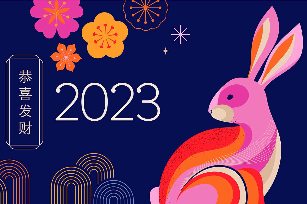 Il 2023 è l'anno del Coniglio d'Acqua: ecco cosa preannuncia l'oroscopo  cinese - greenMe