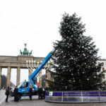 albero Berlino decapitato