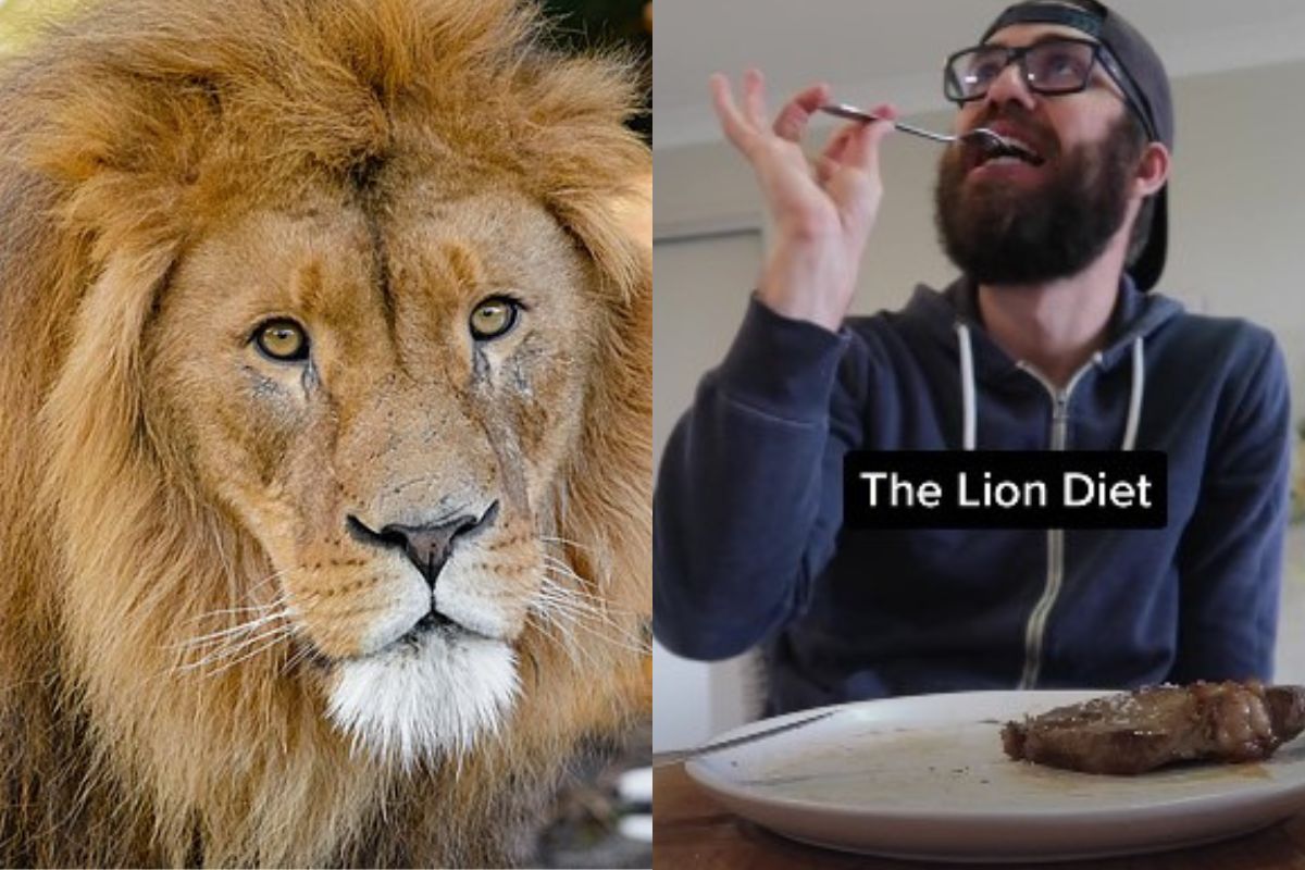 dieta del leone