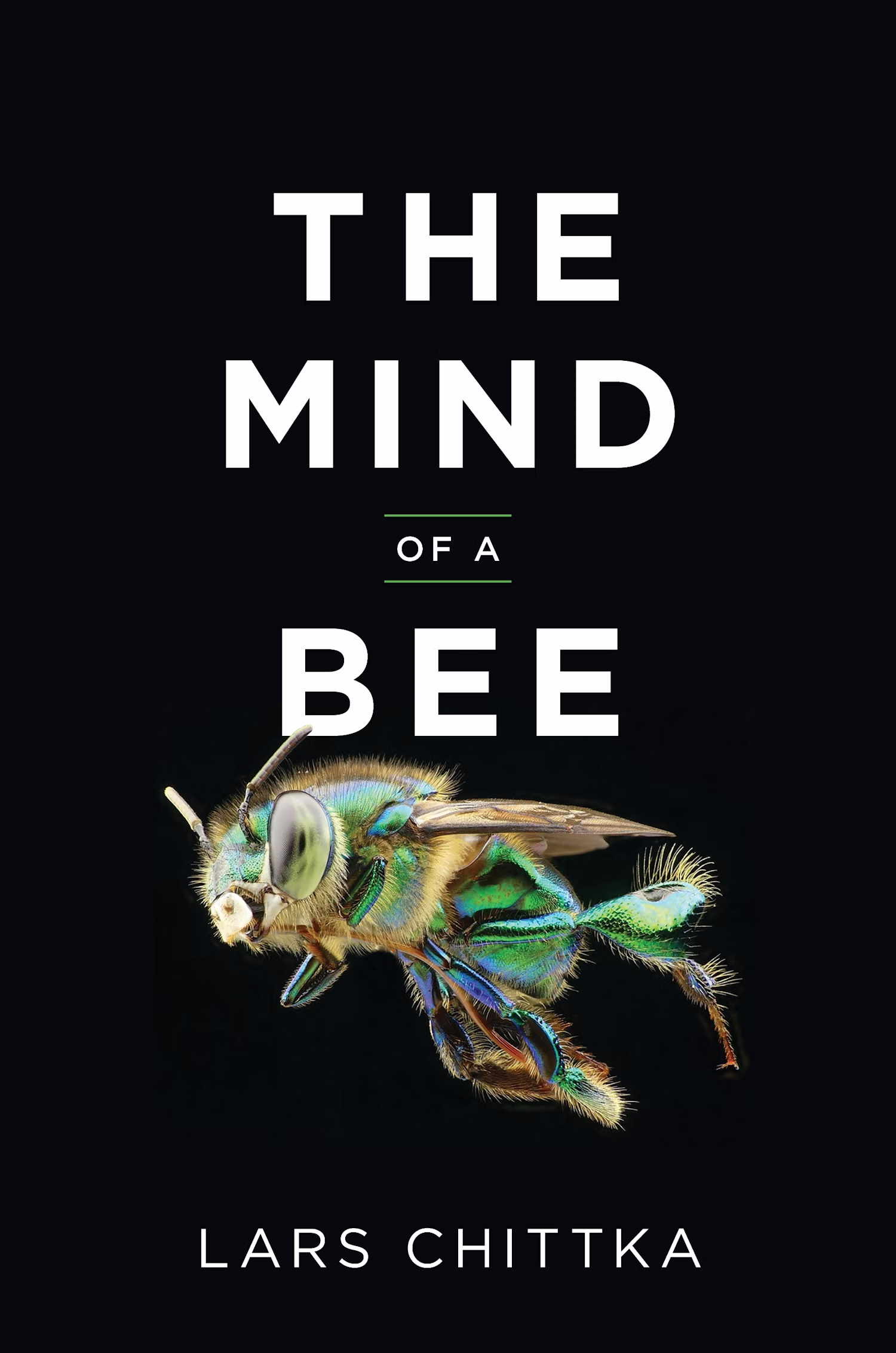 The mind of bee