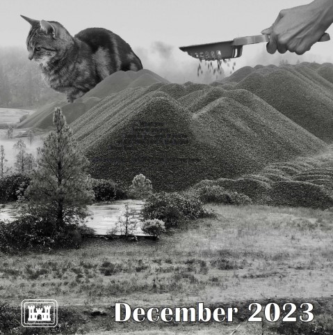 dicembre calendario gatti