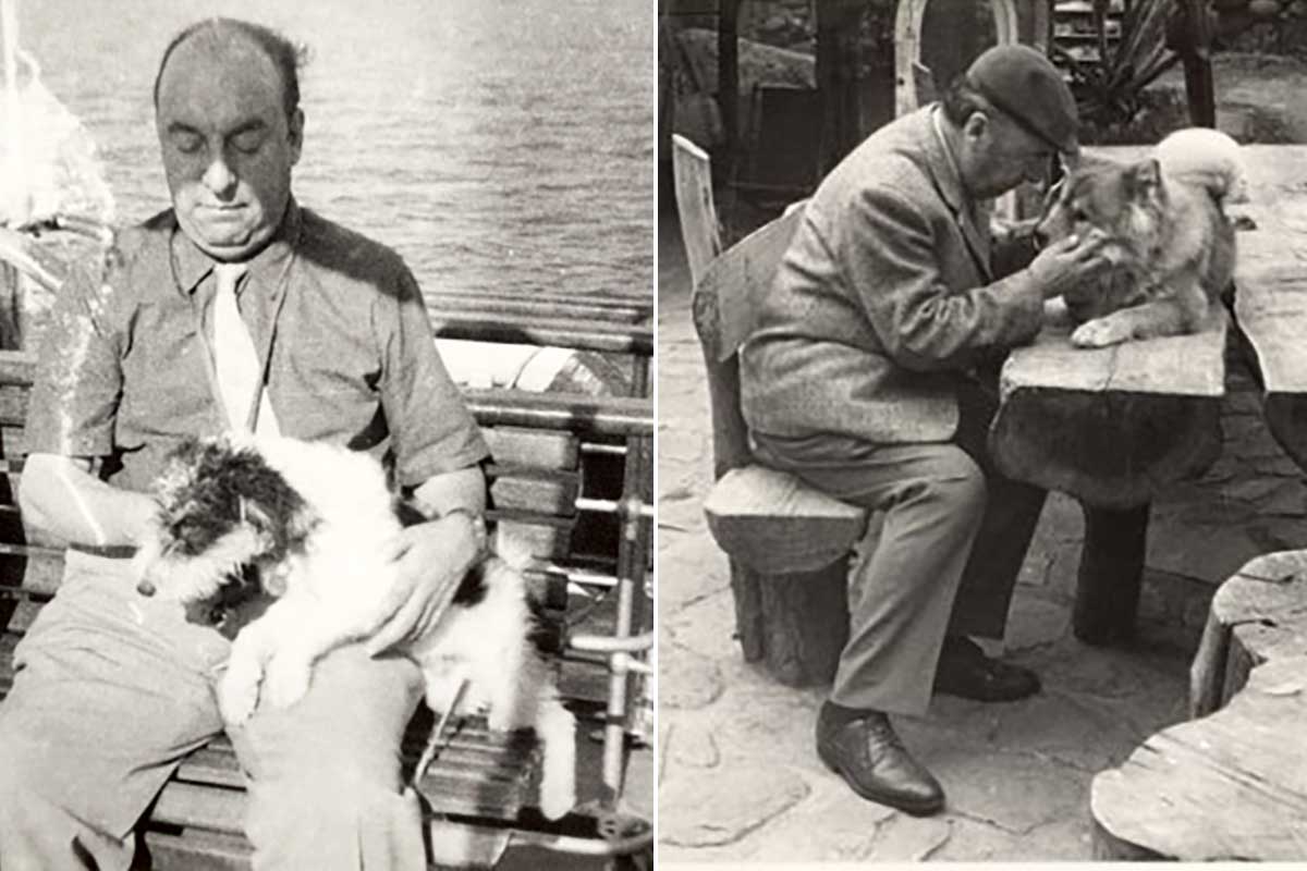 Pablo Neruda e i suoi cani