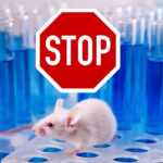 stop test sugli animali Usa