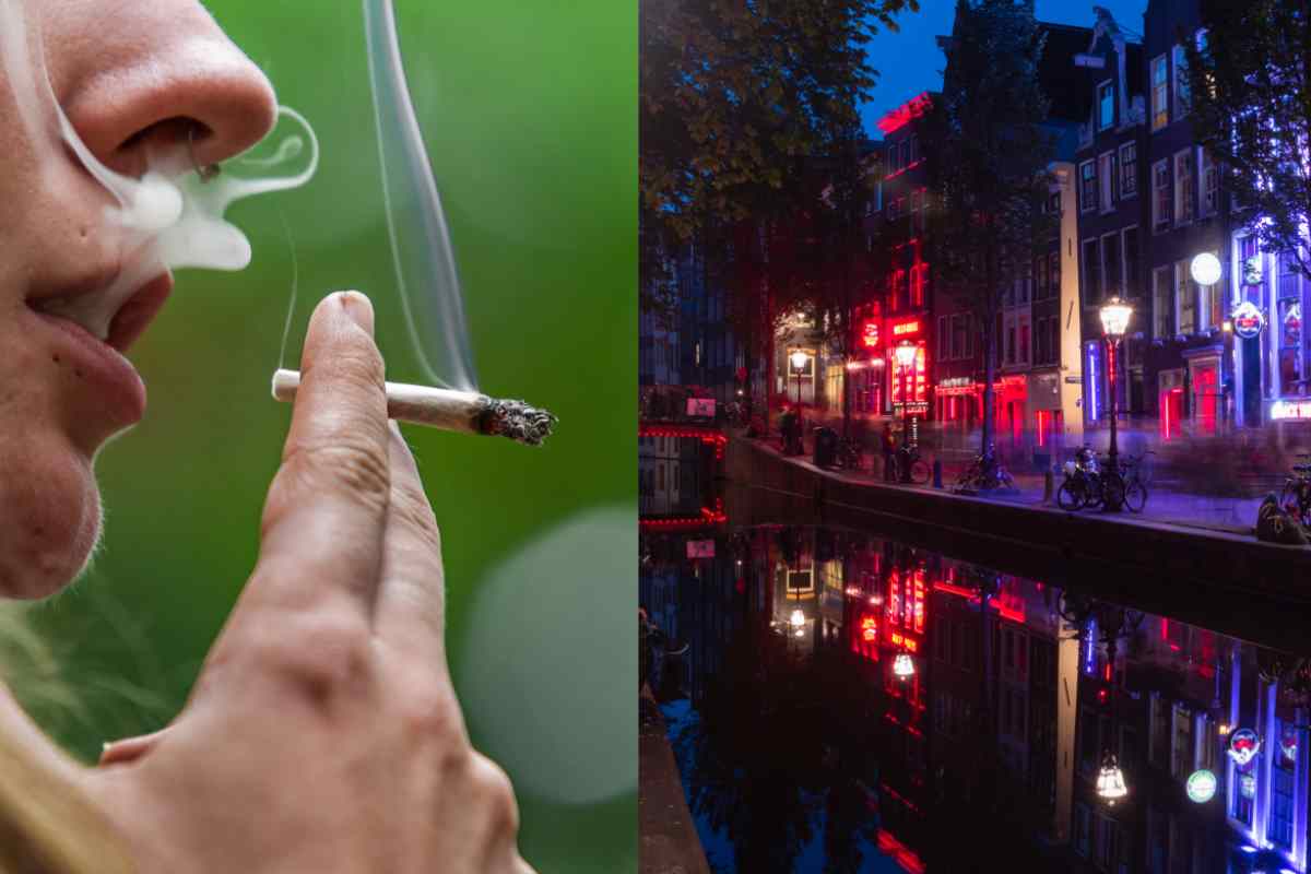 amsterdam cannabis