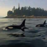 orche marine figli