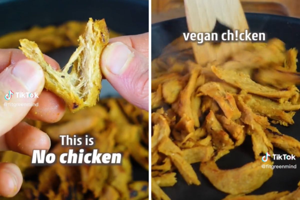pollo vegano tilktok